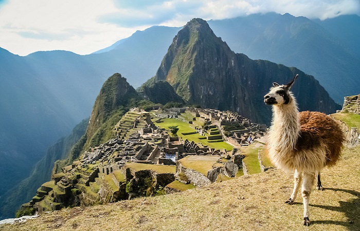 南美精選 南美｜祕魯16日．黃金帝國